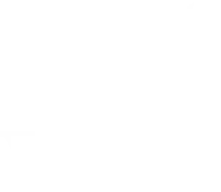 Wolfe Video
