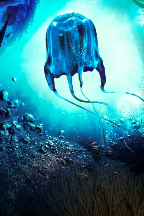 MonsterQuest: Deadly Jellyfish
