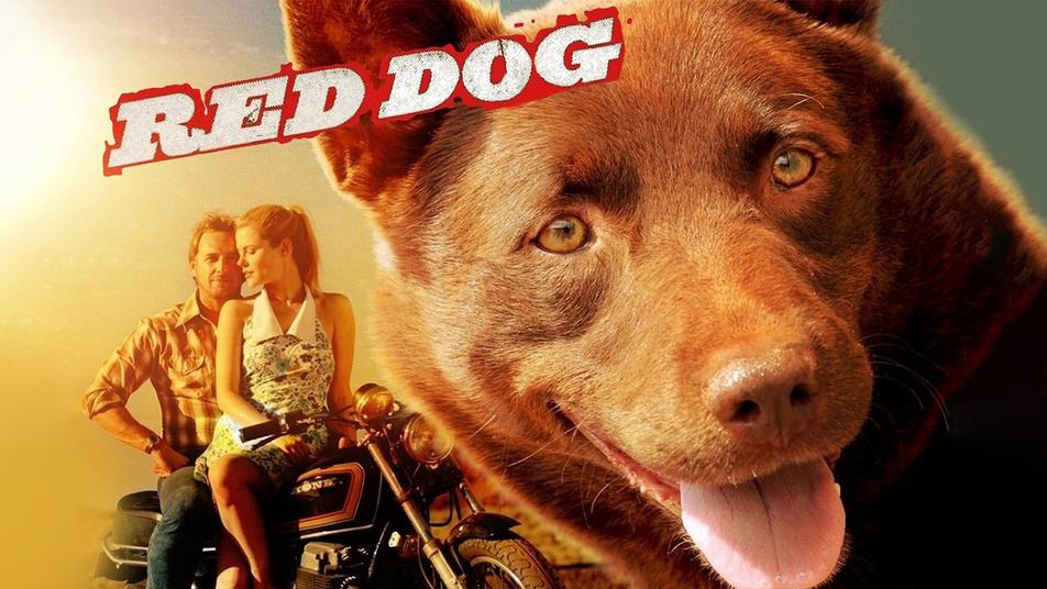 Watch Red Dog Streaming Online | Hulu (Free Trial)