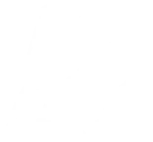 800PGM