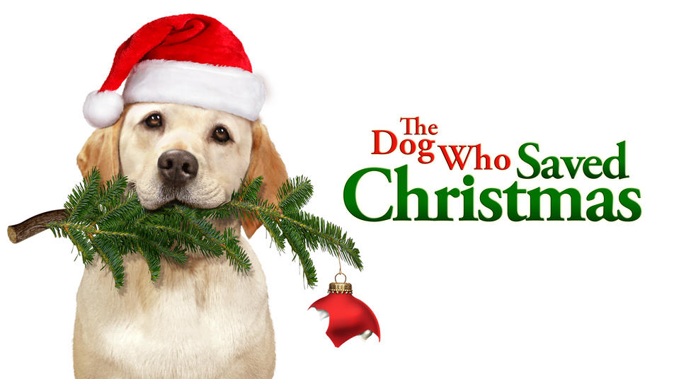 Watch The Dog Who Saved Christmas Streaming Online | Hulu (Free Trial)